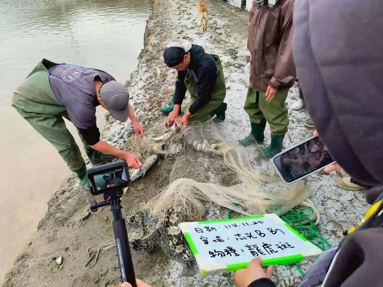 志光能源一期漁電共生案場全區取得水產品產銷履歷，首例漁電共生集團式驗證 超前部署符合漁電共生新制要求