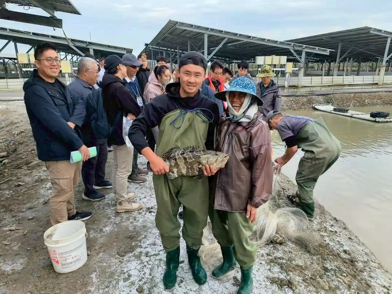 志光能源一期漁電共生案場全區取得水產品產銷履歷，首例漁電共生集團式驗證 超前部署符合漁電共生新制要求